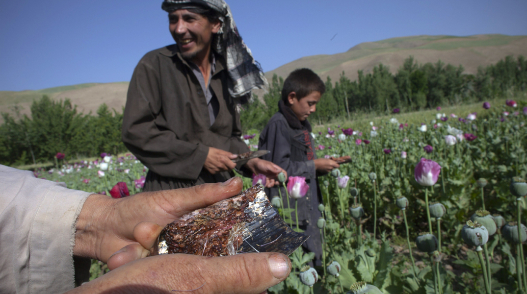 Ρεκόρ παραγωγής οπίου στο Αφγανιστάν - Αύξηση 87% σε σχέση με πέρυσι