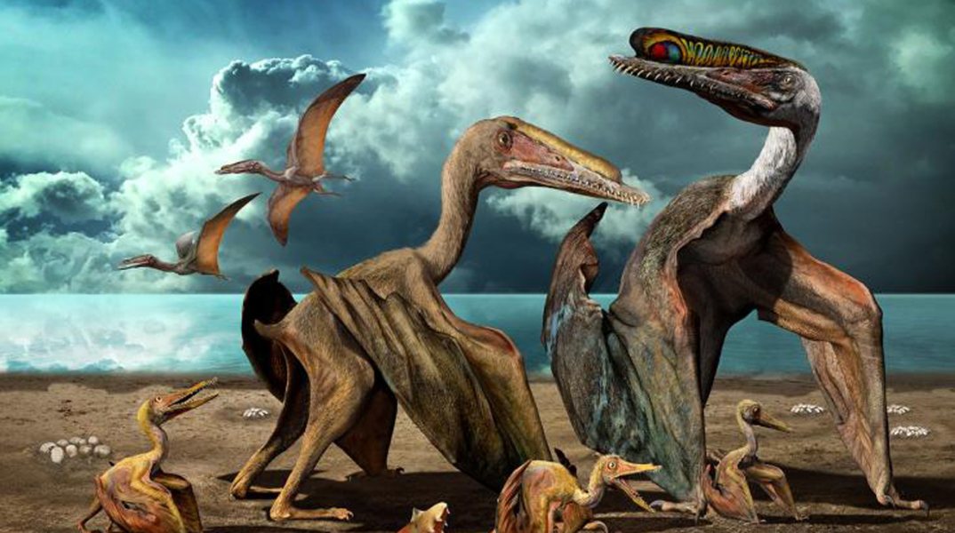 article-pterosaur-reconstrcution-2.adapt_.768.1.jpg