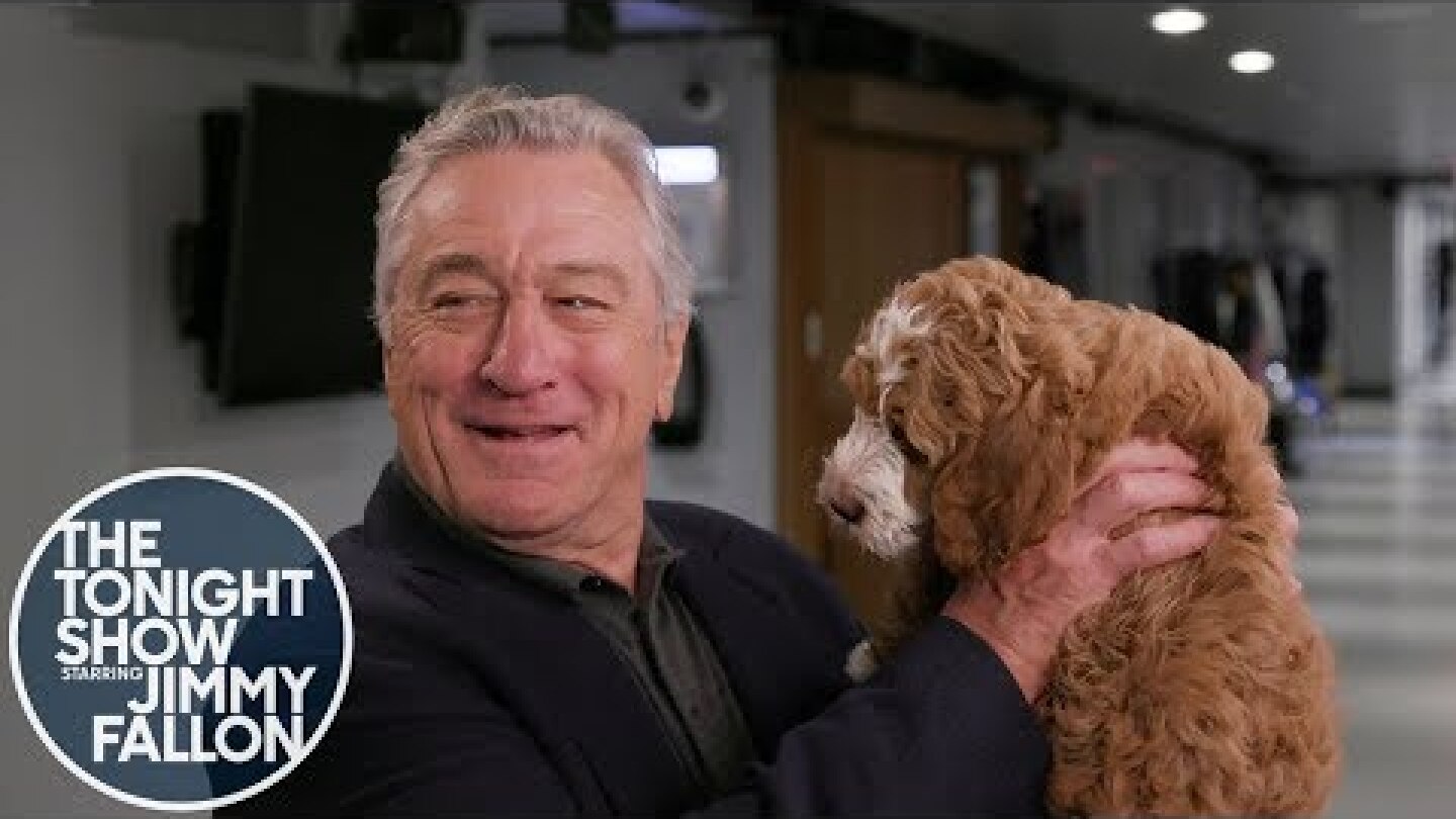 Robert De Niro Has Never Seen a Dog