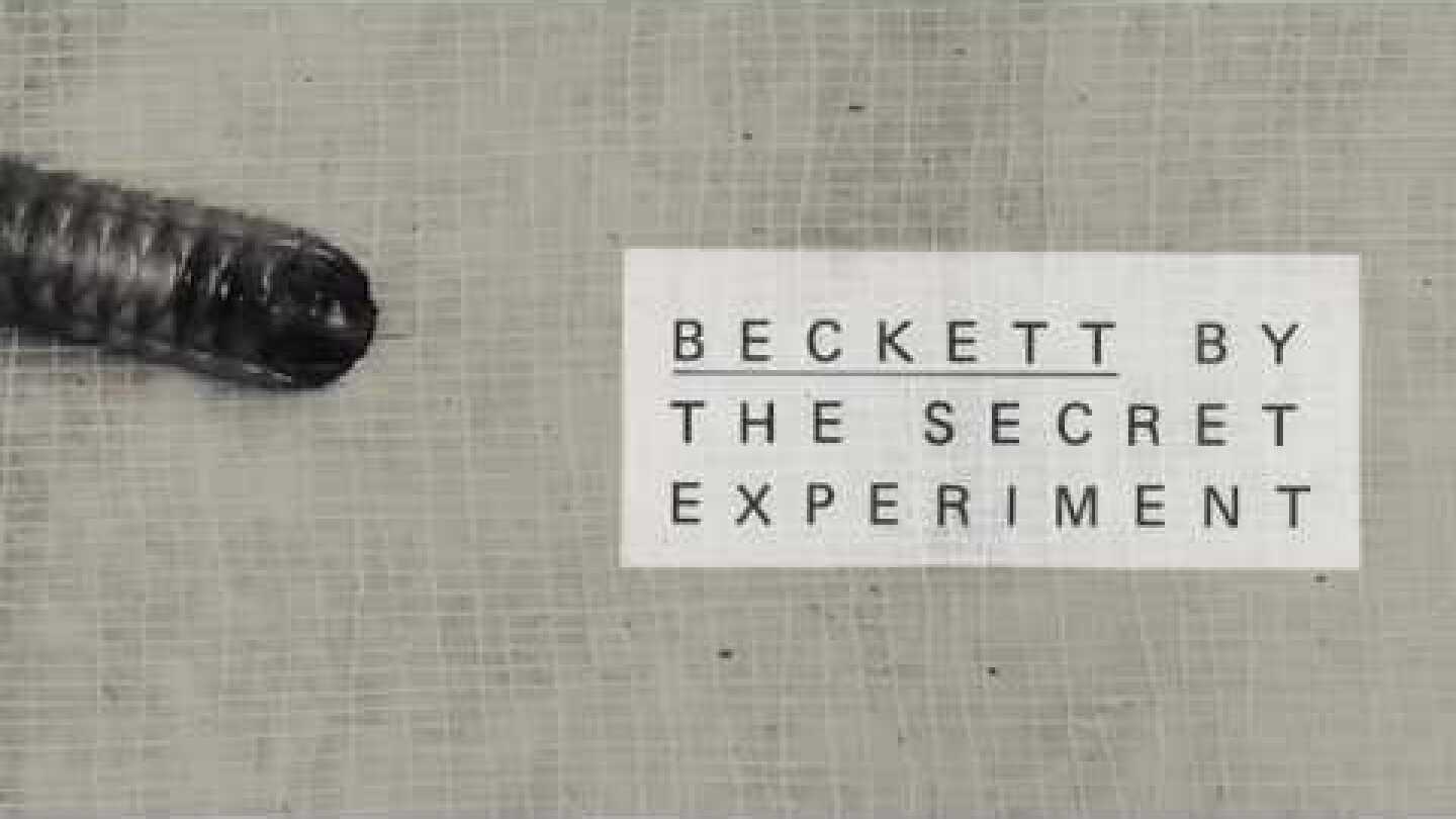 Beckett by The Secret Experiment