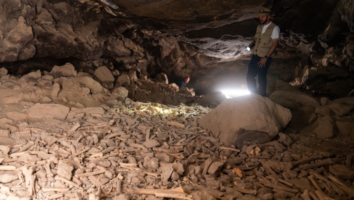 Αρχαιολόγος σε σπηλιά εξετάζει οστά