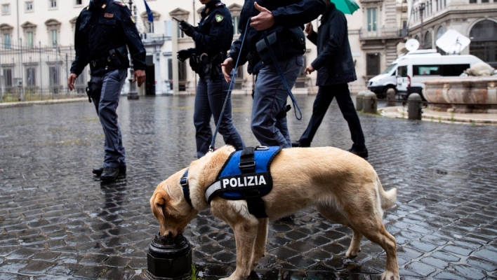 σκύλος μυρίζει κολώνα - δίπλα 3 αστυνομικοί