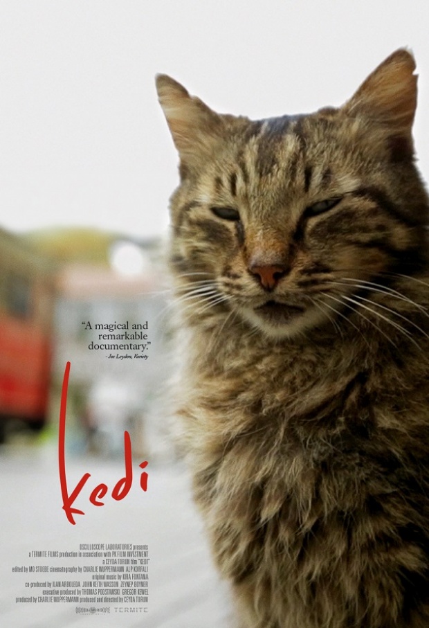 Οι γάτες της Κωνσταντινούπολης έρχονται στους κινηματογράφους