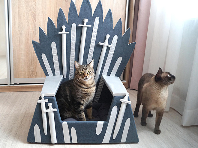 Ένας Σιδηρούν Θρόνος για τη γάτα σας