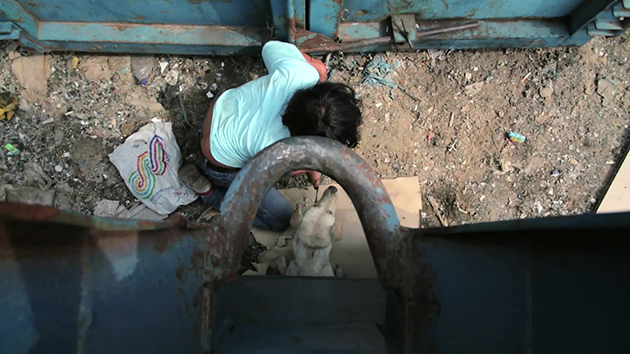 Greek Animal Rescue Greek Animal Rescue