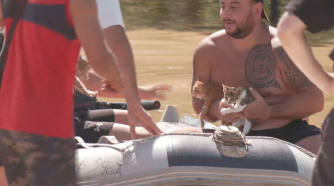 Οι ήρωες της διπλανής πόρτας έσωσαν γατάκια στη Γιάννουλη