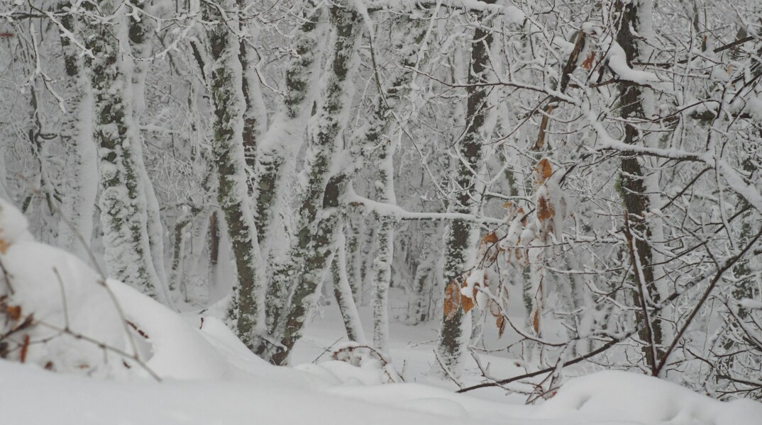 Κουίζ: Πού ζουν οι περισσότεροι και πού οι λιγότεροι Έλληνες; 