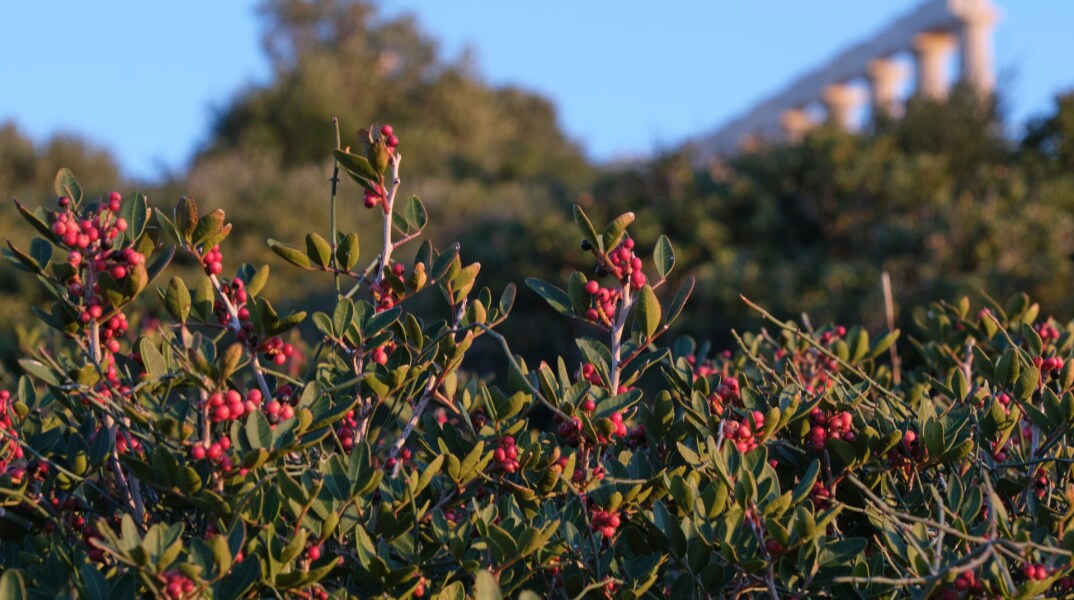 Κουίζ: Πού ζουν οι περισσότεροι και πού οι λιγότεροι Έλληνες; 