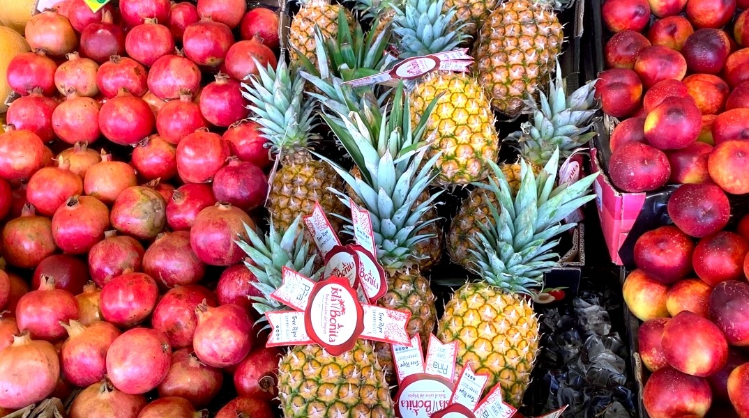 Ρεφανίδης Φρουτομαγεία