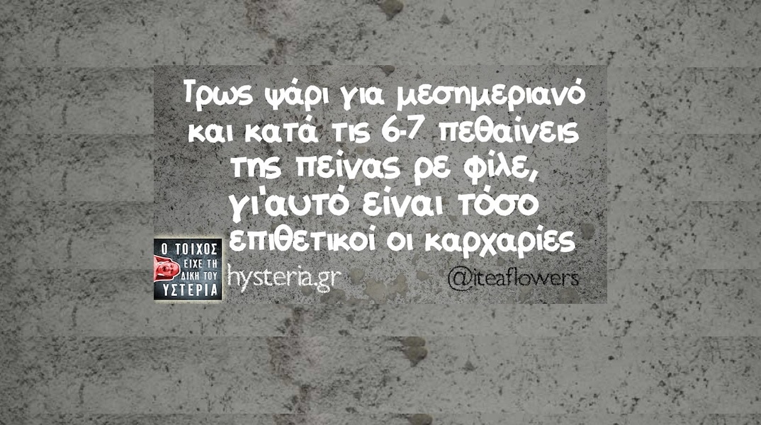 Αστεία memes, ατάκες, YOLO βίντεο, viral, αστεία video στο TikTok που ανέβηκαν στο διαδίκτυο και μας έκαναν να γελάσουμε.