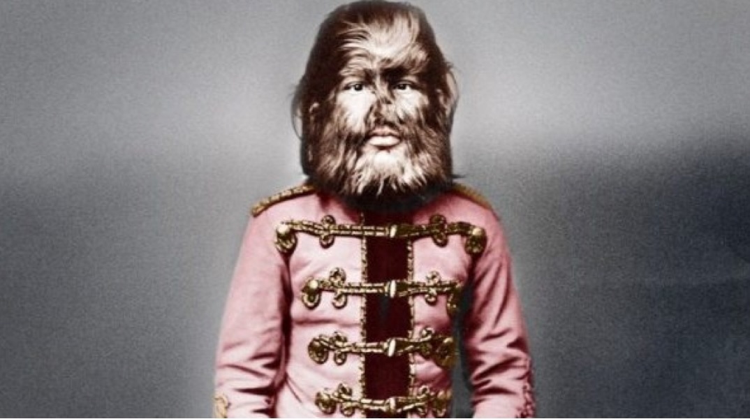 Jo Jo the Dog Face Boy