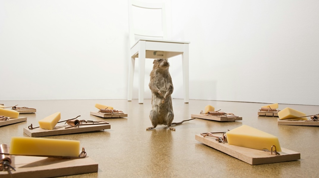 Η Σιωπηλή Παγίδα της Τεχνητής Νοημοσύνης:  Εξυπηρετώντας «δωρεάν» το κράτος