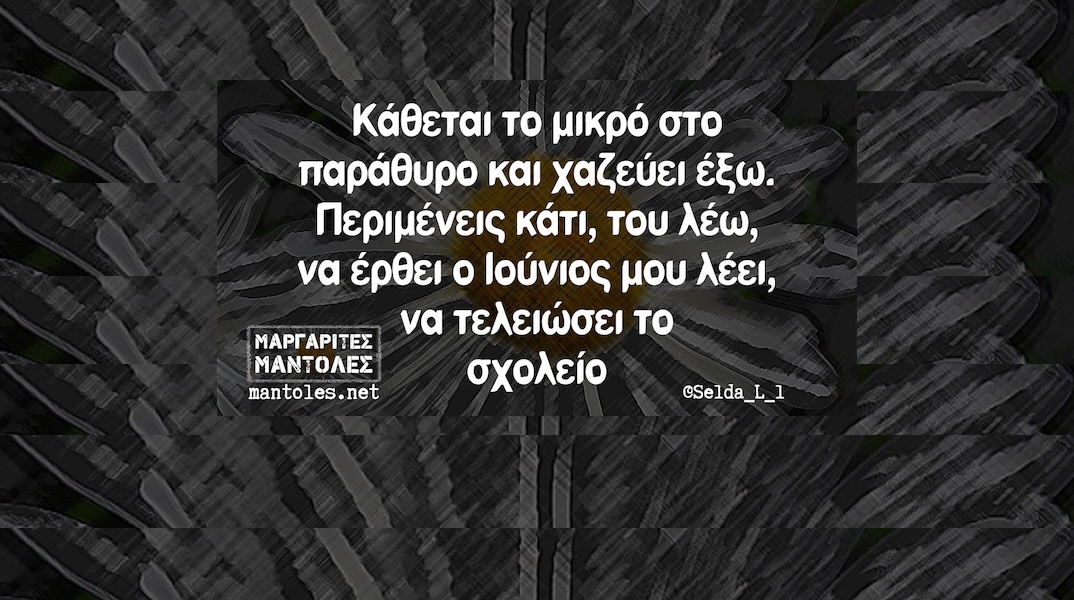 Αστεία memes, ατάκες, YOLO βίντεο, viral, αστεία video στο TikTok που ανέβηκαν στο διαδίκτυο και μας έκαναν να γελάσουμε.