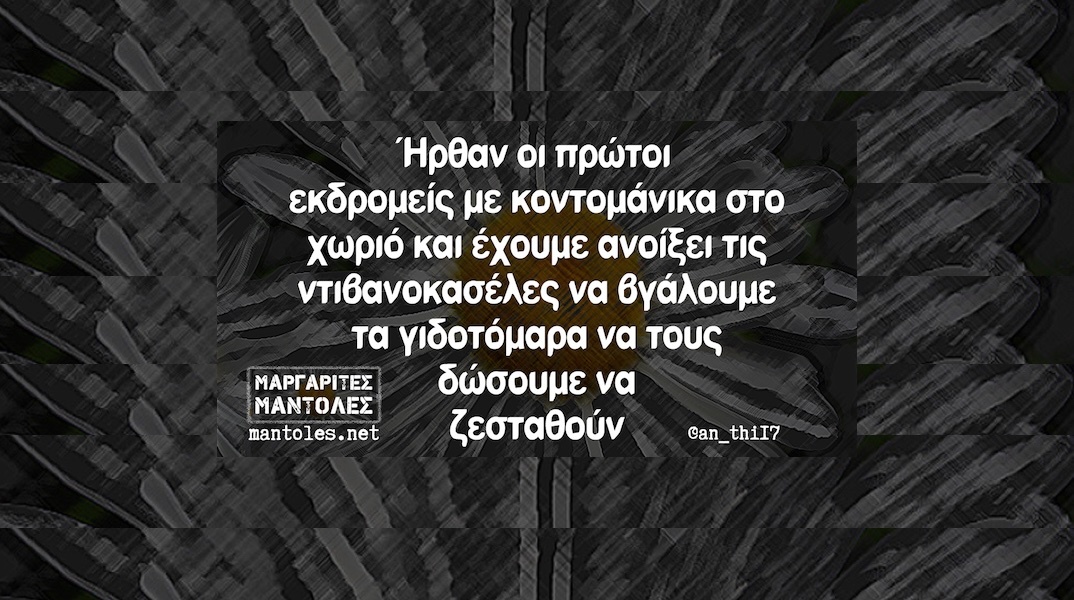 Αστεία memes, ατάκες, YOLO βίντεο, viral, αστεία video στο TikTok που ανέβηκαν στο διαδίκτυο και μας έκαναν να γελάσουμε.