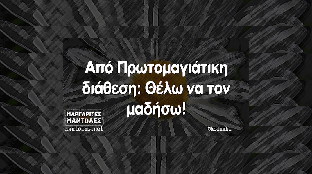 Αστεία memes, ατάκες, YOLO βίντεο, viral, αστεία video στο TikTok που ανέβηκαν στο διαδίκτυο και μας έκαναν να γελάσουμε.