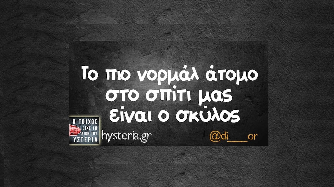 Αστεία memes, ατάκες, YOLO βίντεο, viral, αστεία video στο TikTok που ανέβηκαν στο διαδίκτυο και μας έκαναν να γελάσουμε.