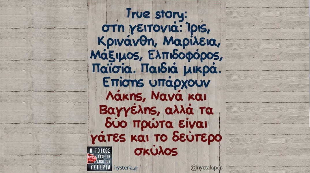 Αστεία memes, ατάκες, YOLO βίντεο, viral, αστεία video στο TikTok που ανέβηκαν στο διαδίκτυο και μας έκαναν να γελάσουμε.