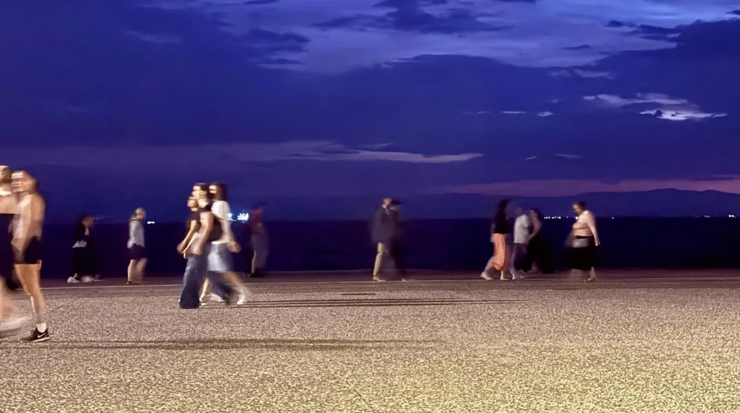 Βρήκαμε μια νέα γάτα, κι αυτά είναι καλά νέα