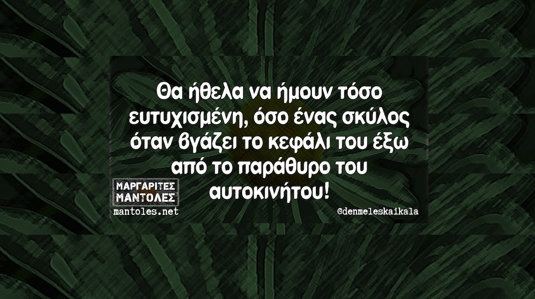 Αστεία memes, ατάκες, YOLO βίντεο, viral, αστεία video στο TikTok που ανέβηκαν στο διαδίκτυο και μας έκαναν να γελάσουμε.