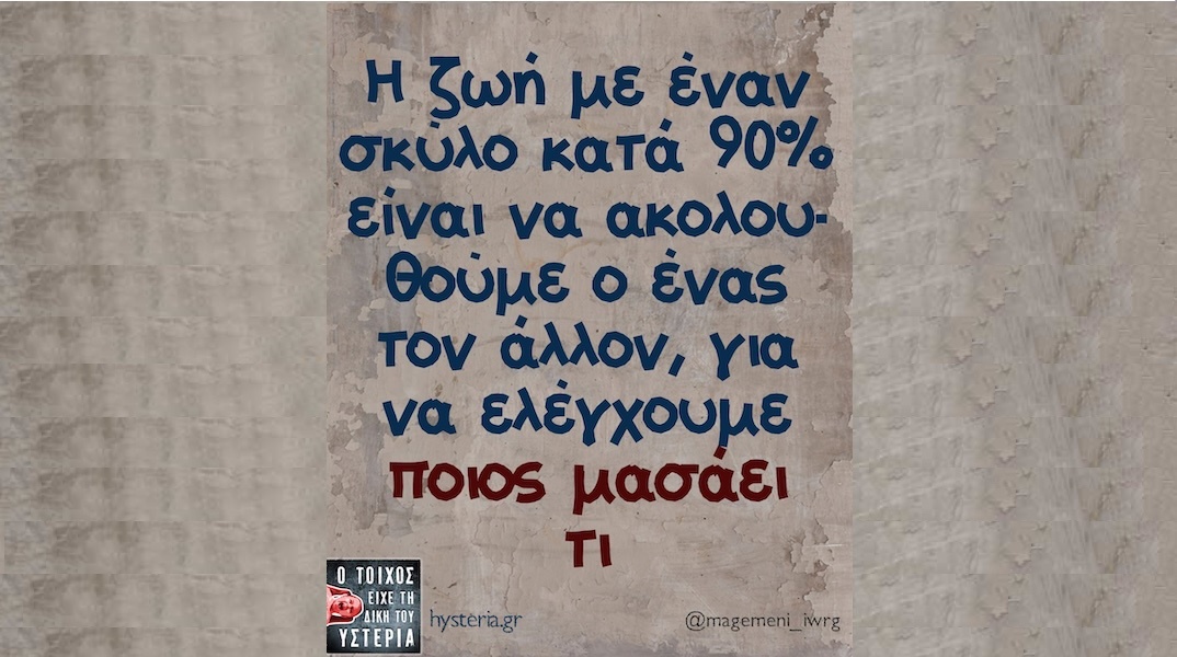 Αστεία memes, ατάκες, YOLO βίντεο, viral, αστεία video στο TikTok που ανέβηκαν στο διαδίκτυο και μας έκαναν να γελάσουμε.