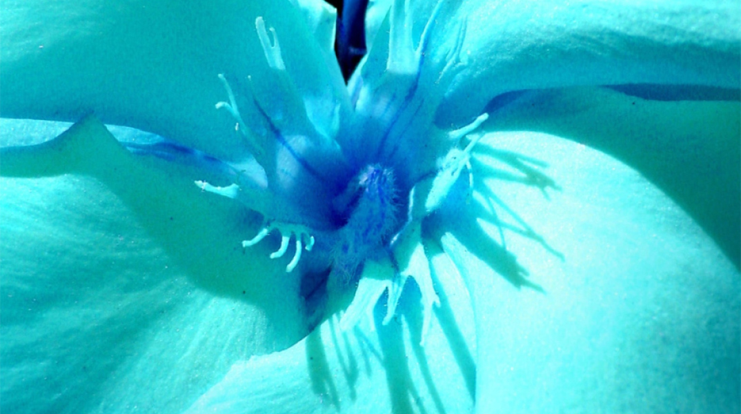 eortologio-7-iouliou