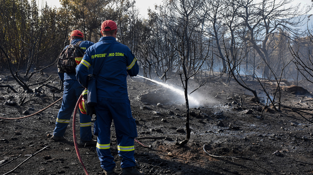 Φωτιά στο Κρανίδι