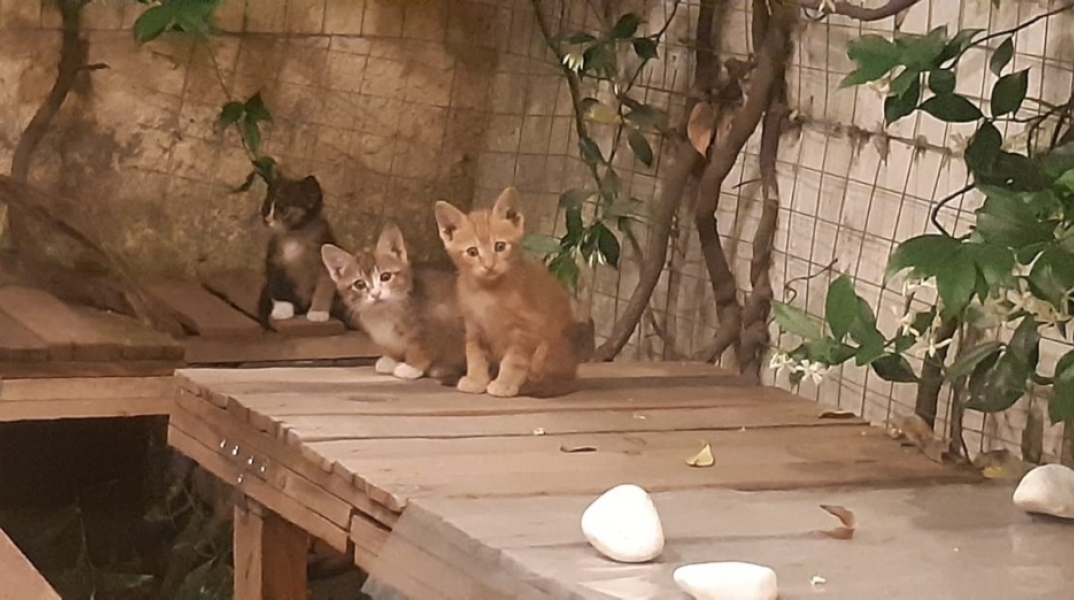 Σράπνελ: θραύσματα οβίδας, χειροβομβίδας ή νάρκης