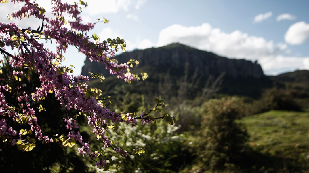 Καιρός: Μικρή ανάσα δροσιάς σήμερα Δευτέρα 18 Ιουλίου 2022
