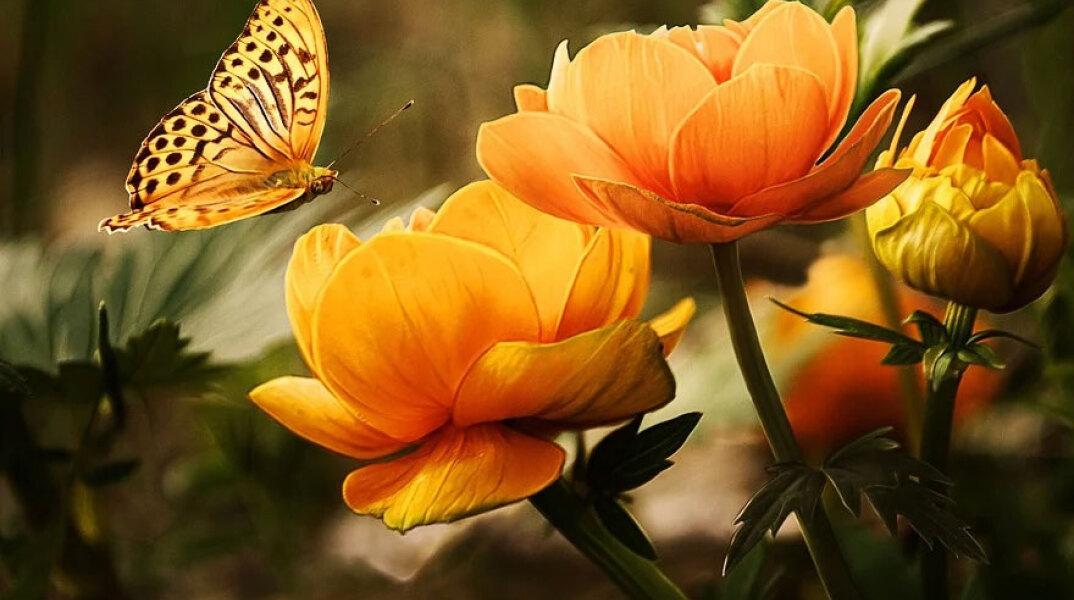 Ηλιοφάνεια σήμερα Κυριακή 17 Ιουλίου στις περισσότερες περιοχές στην Ελλάδα