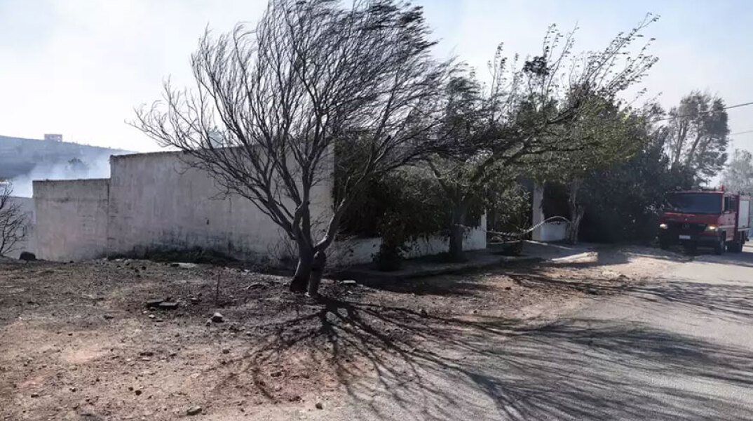 Το σπίτι στην Παλλήνη όπου αυτοκτόνησε ο 84χρονος