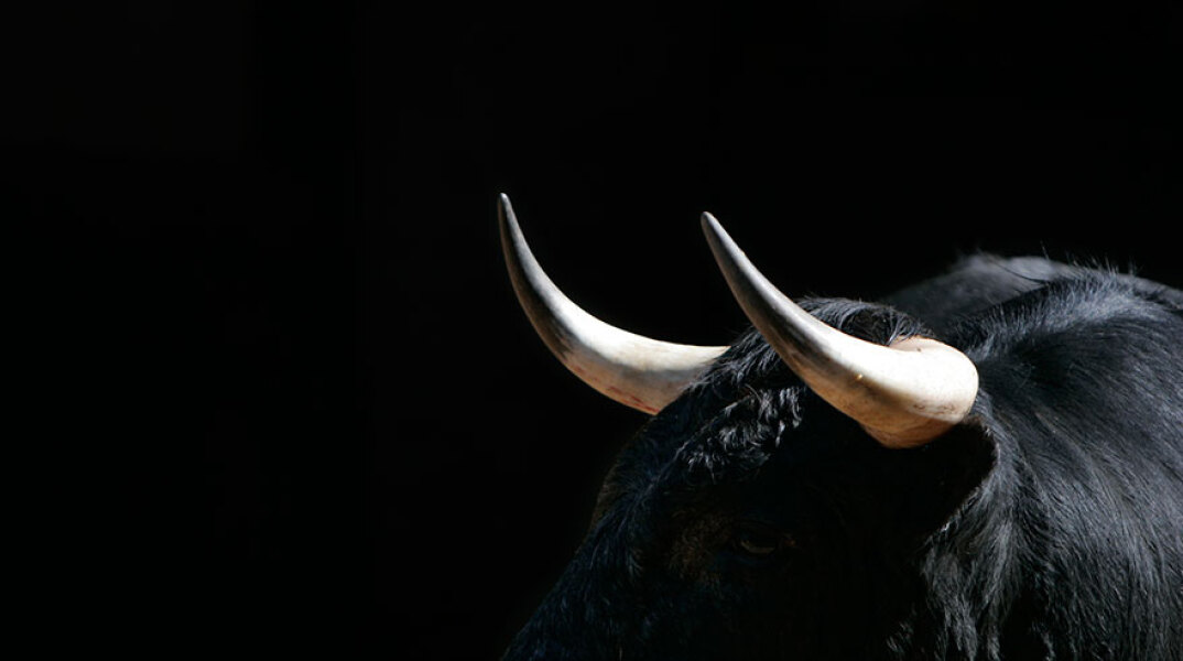 Ταύρος στην Ισπανία