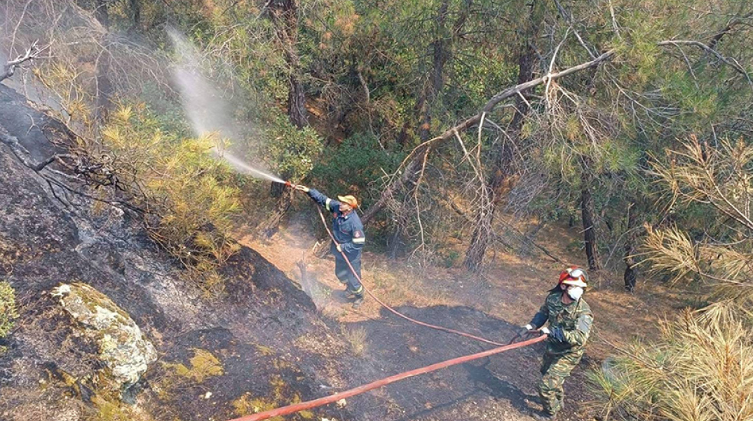 Πυρκαγιά στο δάσος της Δαδιάς