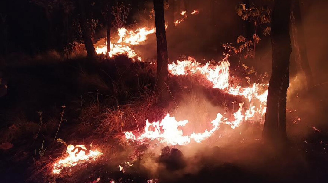 Για δεύτερη νύχτα μαίνεται η φωτιά στον Έβρο