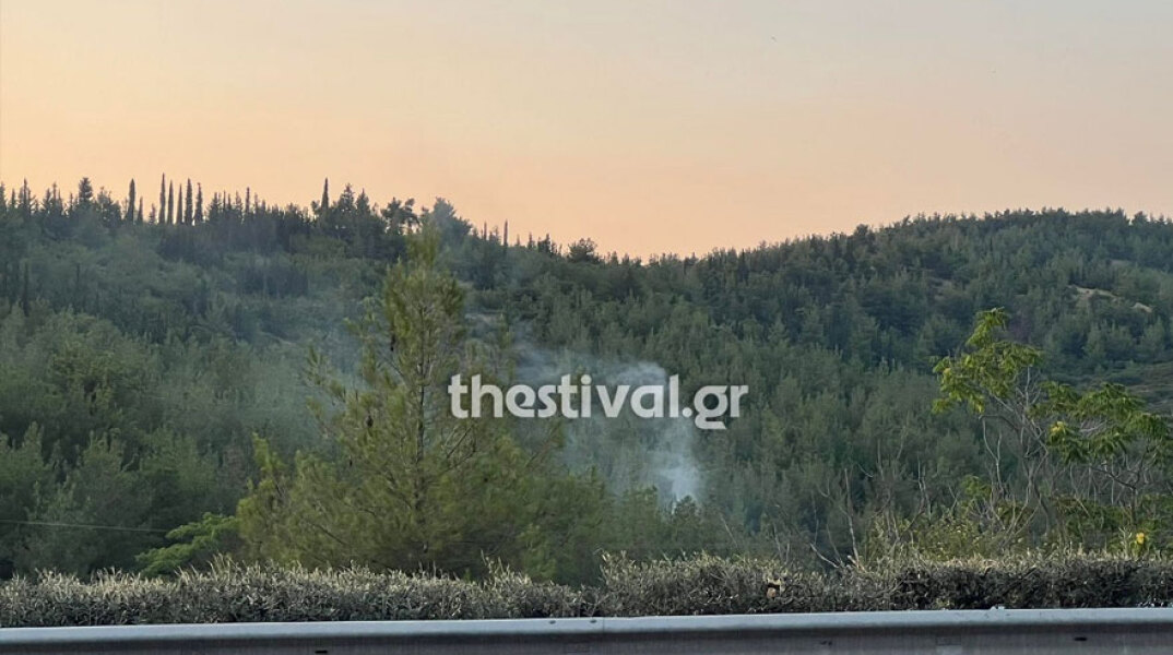 Πυροσβέστες στη Θεσσαλονίκη πρόλαβαν τη φωτιά στο Σέιχ Σου
