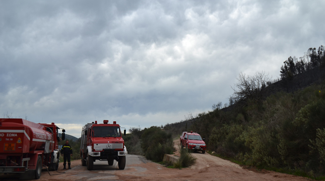 Φωτιά τώρα στη Μεσσηνία