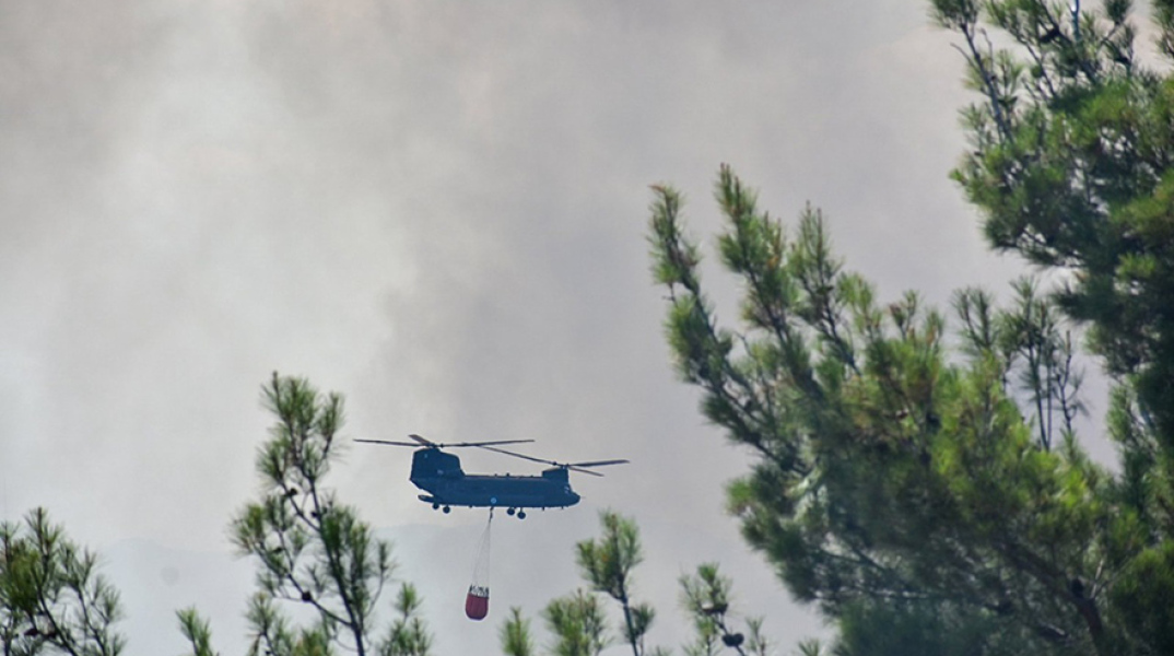 Φωτιά στον Έβρο