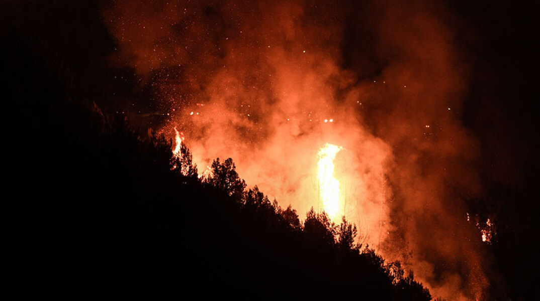 Ολονύχτια μάχη στην Ηλεία με τις φλόγες