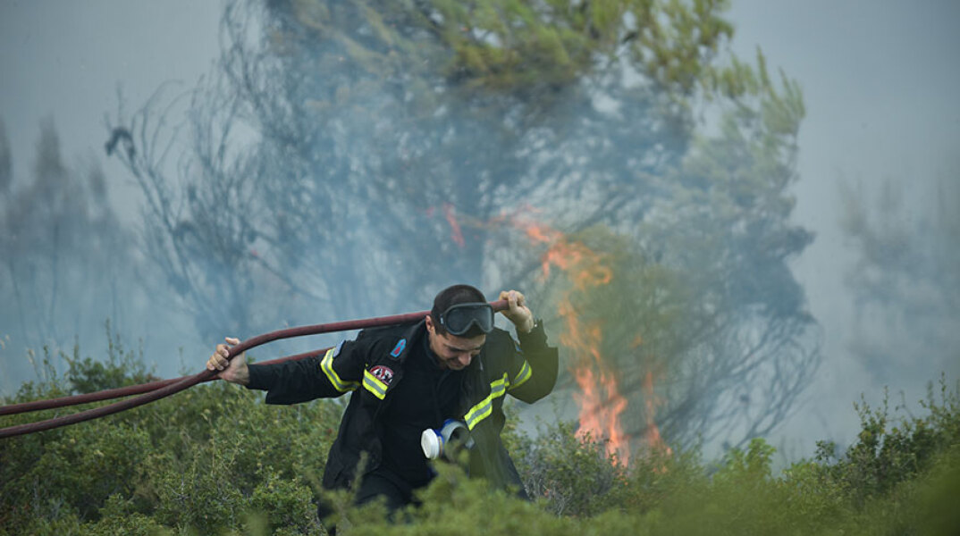 Πυροσβέστης επιχειρεί σε δασική πυρκαγιά