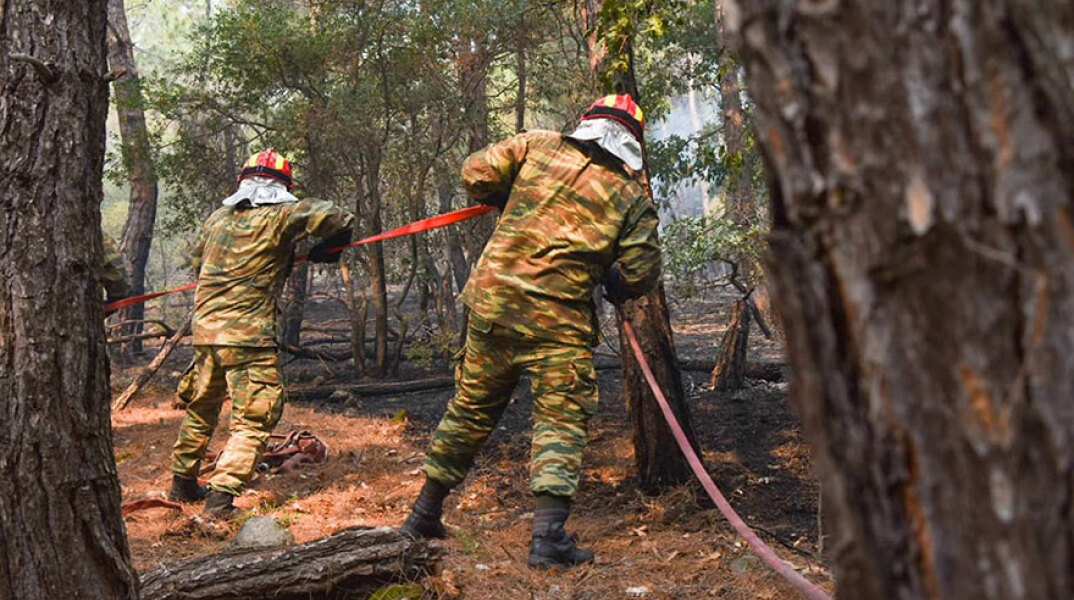 Δυνάμεις του ελληνικού στρατού μέσα στο δάσος της Δαδιάς