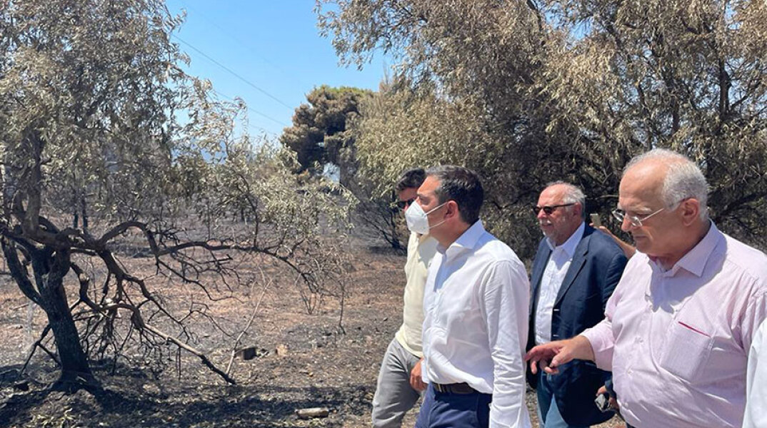 Ο πρόεδρος του ΣΥΡΙΖΑ Αλέξης Τσίπρας στο Ντράφι μετά την καταστροφική φωτιά