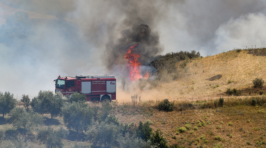 Φωτιά στη Ζωφριά, στο Ποικίλο Όρος