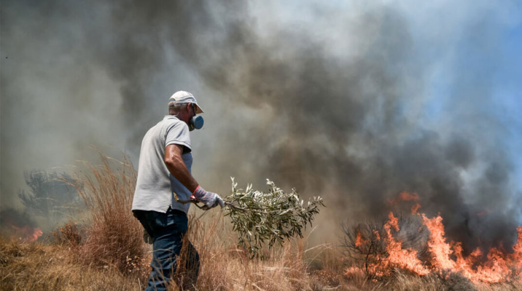 Στην Πέλλα η νέα πυρκαγιά που εκδηλώθηκε στην Ελλάδα το τελευταίο 24ωρο