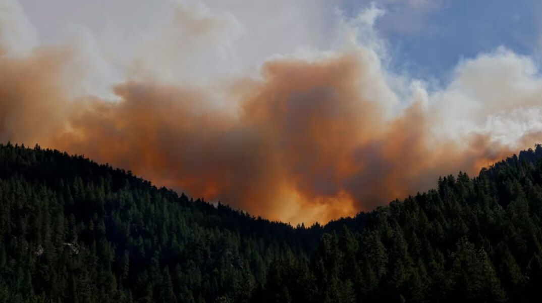 Φωτιά σε δάσος