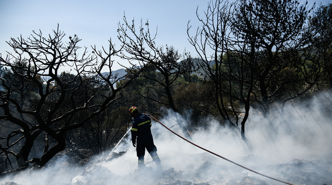 Φωτιά τώρα στη Μάνδρα