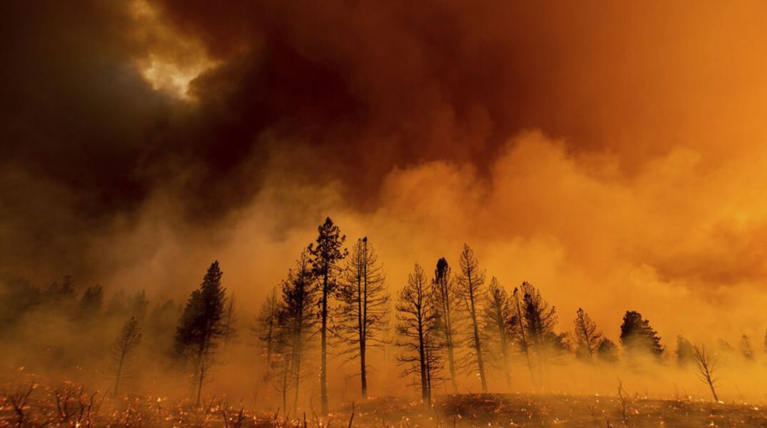Μεγάλη φωτιά κάνει στάχτη δάσος στην Καλιφόρνια