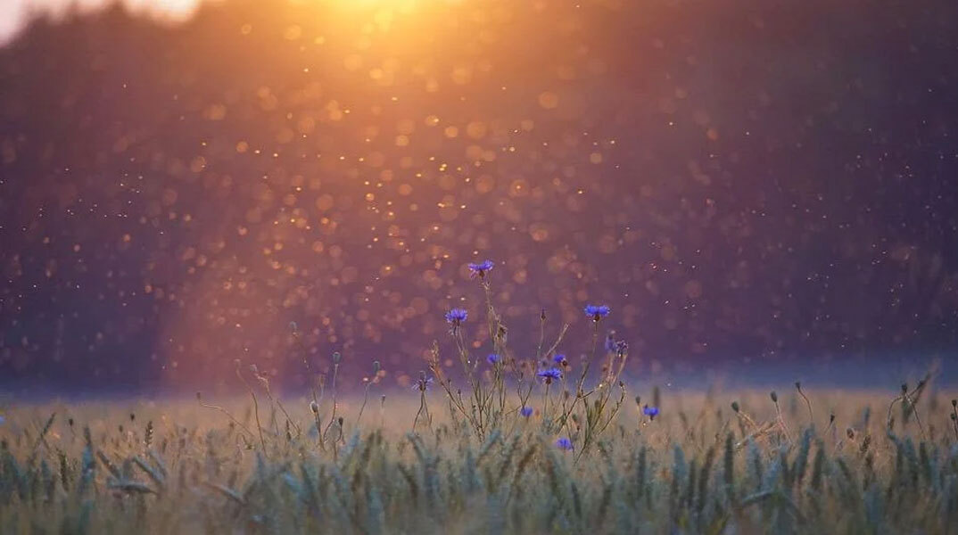 Στους 38 βαθμούς Κελσίου η θερμοκρασία σήμερα Τρίτη (2/08)