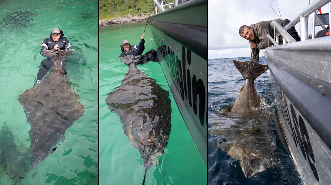 Το ψάρι γίγας στη Νορβηγία