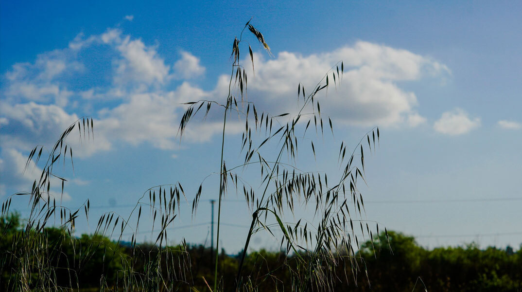 Ζεστός ο καιρός σήμερα Πέμπτη (11/8)