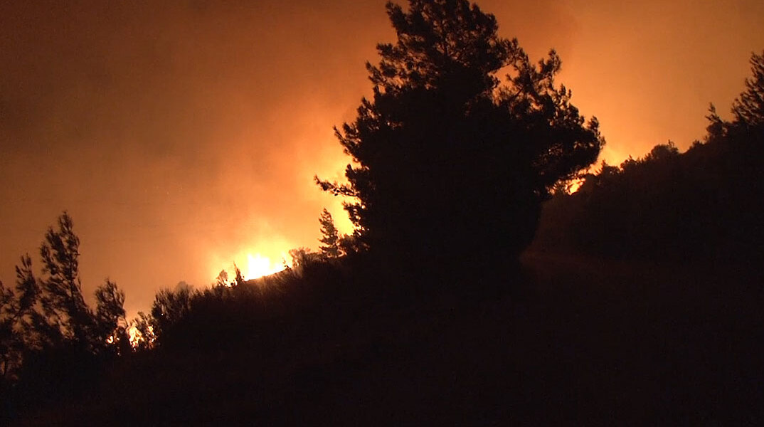 Ολονύχτια μάχη με τις φλόγες δίνουν οι πυροσβέστες στη δασική πυρκαγιά