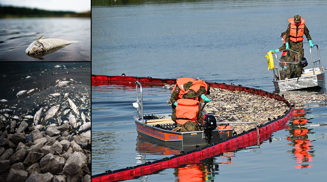 Γεμισε νεκρά ψάρια ο ποταμός Όντερ στην Πολωνία